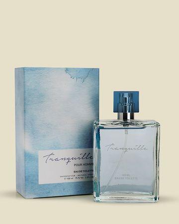 جاد عطر ترانكيل او دو تواليت للرجال - 100 مل