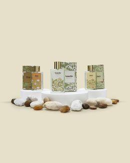 مجموعة الزهور من جاد